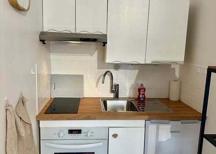 Deux Pieces Elegant Avec Vue Sur Parc - & Centre-ville A Pied * קאבורג